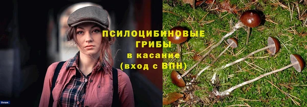 а пвп мука Карталы